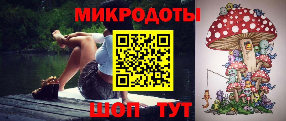 Псилоцибиновые грибы прущие грибы Великие Луки