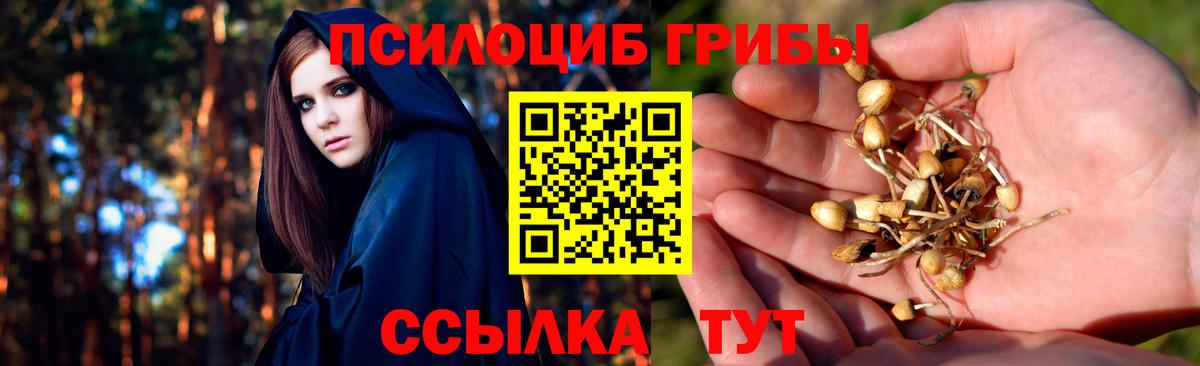 Псилоцибиновые грибы Psilocybe  Вход с VPN  Великие Луки  Галлюциногенные грибы GOLDEN TEACHER 